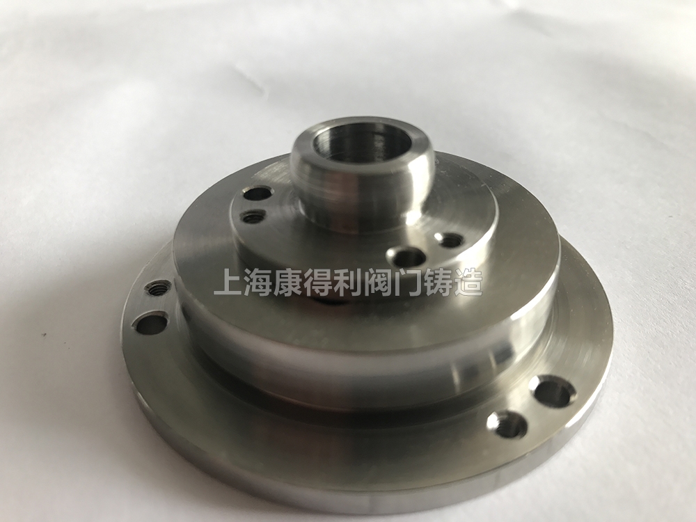 CoCrMO精密铸件
